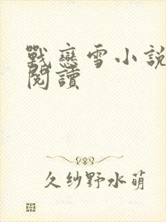 战恋雪小说在线阅读