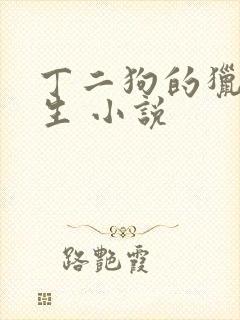 丁二狗的猎艳人生 小说