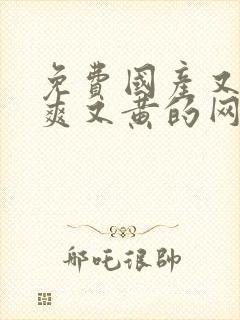 免费国产又色又爽又黄的网站