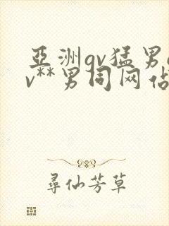 亚洲gv猛男gv**男同网站
