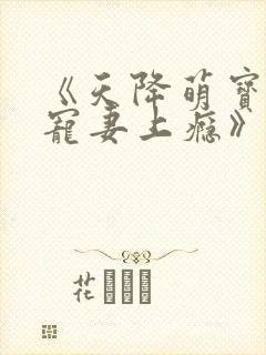 《天降萌宝爹地宠妻上瘾》沈铭睿