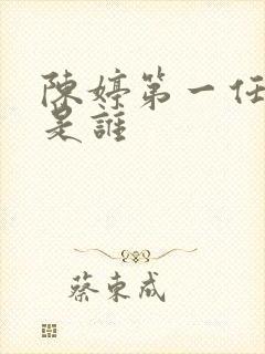 陈婷第一任丈夫是谁