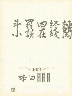 斗罗四终极斗罗小说在线阅读