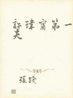 许玮甯第一任丈夫