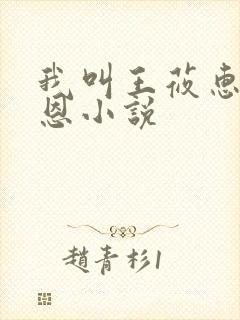 我叫王莜惠和柔恩小说