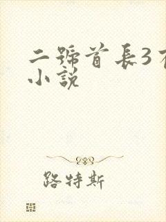 二号首长3有声小说