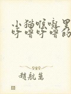 小猫喉咙里一直呼噜呼噜的