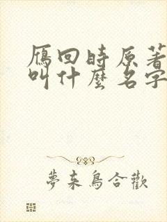 雁回时原著小说叫什么名字封面