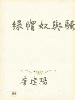 绿帽奴与骚老婆封面