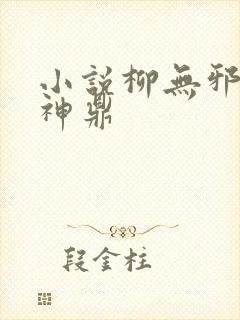 小说柳无邪吞天神鼎