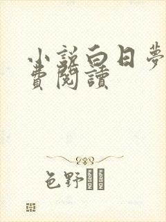 小说白日梦我免费阅读