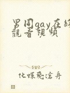 男同gay在线观看视频