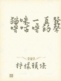 猫咪一直发出咕噜咕噜的声音是为什么