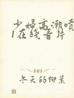 少妇高潮喷水91在线看片