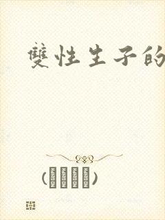 双性生子的小说封面