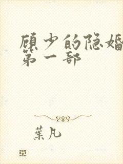 顾少的隐婚罪妻第一部封面