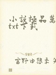 小说极品万岁爷txt下载封面