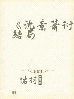 《沈意萧衍宸》结局封面