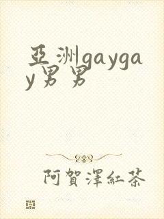 亚洲gaygay男男