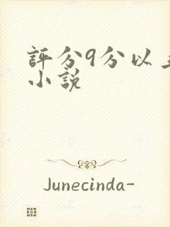 评分9分以上的小说