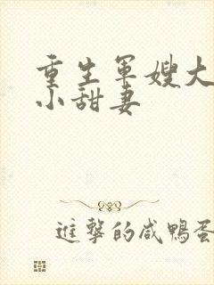 重生军嫂大首长小甜妻