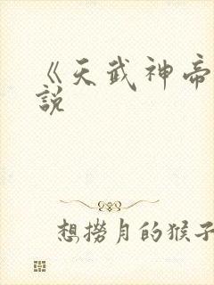 《天武神帝》小说