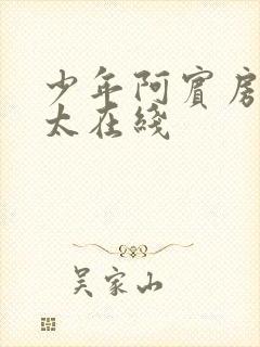 少年阿宾房东太太在线封面