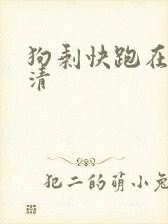 狗剩快跑在线高清