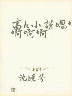 高h小说嗯啊哈啊啊啊