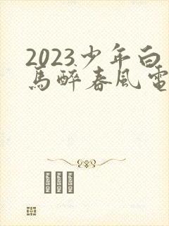 2023少年白马醉春风电视剧33集播放