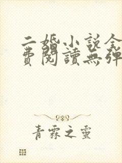 二婚小说全文免费阅读无弹窗