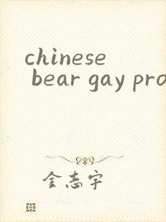 chinese bear gay pron封面