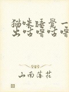 猫咪睡觉一直发出咕噜咕噜的声音封面