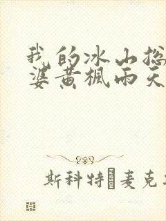 我的冰山总裁老婆黄枫雨天
