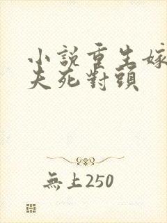 小说重生嫁给前夫死对头