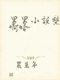 男男小说双性嗯啊哈