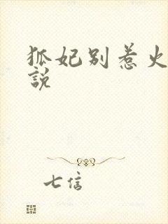 狐妃别惹火 小说