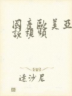 国产欧美亚洲小说视频封面