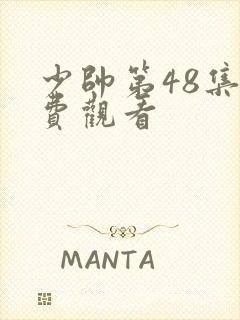 少帅第48集免费观看