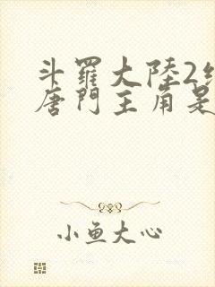 斗罗大陆2绝世唐门主角是谁封面