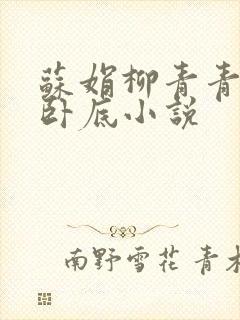 苏娟柳青青女警卧底小说