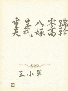 重生八零踹开渣夫我嫁高干