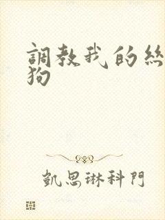 调教我的丝袜母狗封面