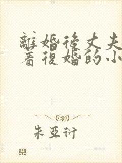 离婚后丈夫哭求着复婚的小说