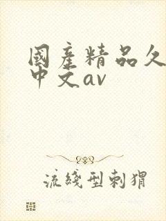 国产精品久久久中文av