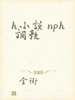 h小说 nph 调教
