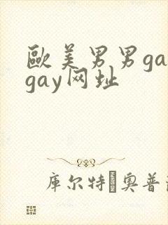 欧美男男gaygay网址封面