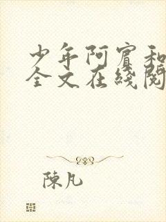 少年阿宾和房东全文在线阅读