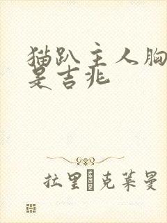 猫趴主人胸口睡是吉兆