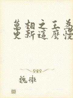 万相之王为什么更新这么慢